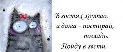 Смешной кот с бантиком и текстом о гостях