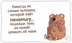 Медведь ест печенье и пьёт чай, забавная надпись
