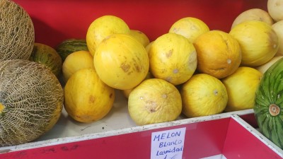 цены на дыни в Испании