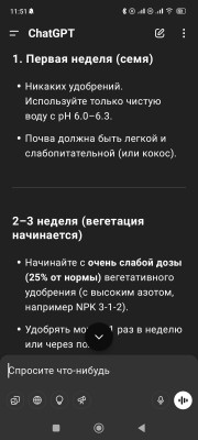 Инструкция по уходу за растениями на две недели
