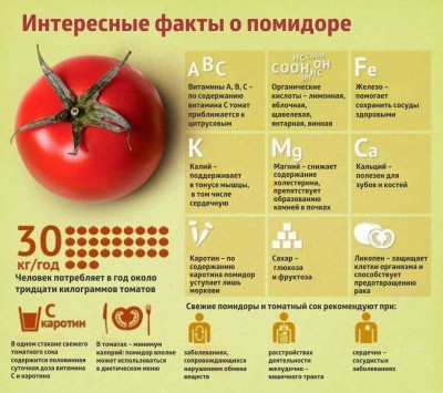 Интересные факты о помидоре и его пользе для здоровья