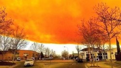 Оранжевое небо над городским пейзажем и деревьями