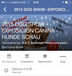Афиша выставки собак 2015 года, дата и время мероприятия